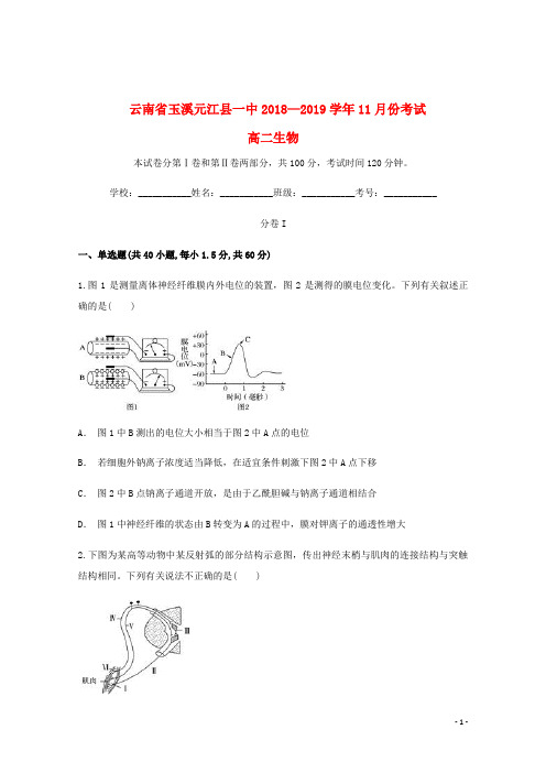 云南省玉溪元江县一中2018_2019学年高二生物11月月考试题