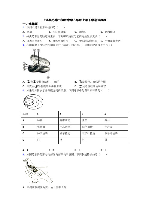 上海民办华二初级中学八年级上册下学期试题题