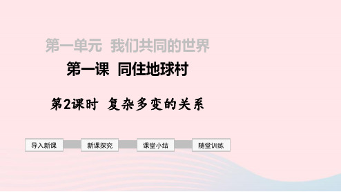 新人教版2019九年级道德与法治下册一我们共同的世界第一课同住地球村第2框复杂多变的关系课件