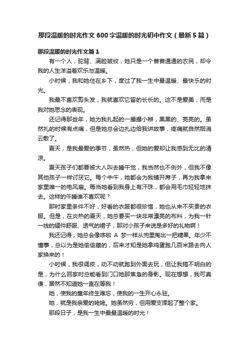 那段温暖的时光作文600字温暖的时光初中作文（最新5篇）