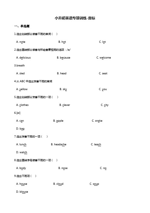 2019年小升初英语专项训练--音标-通用版(含答案解析)