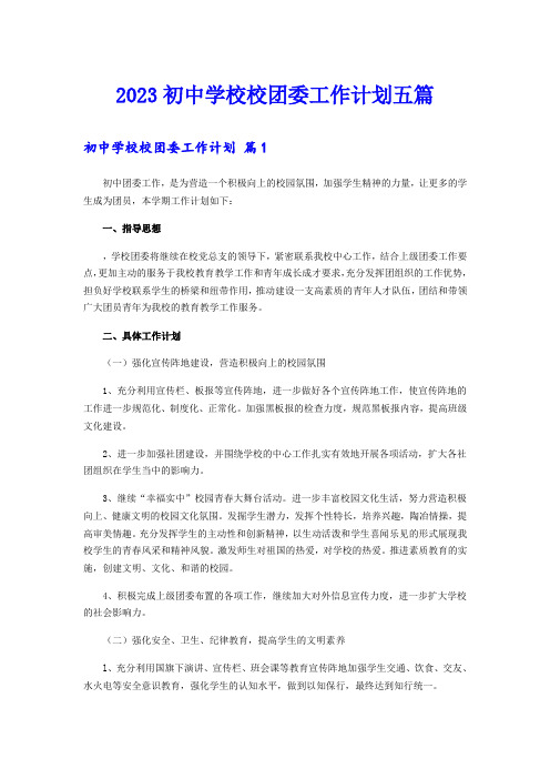 2023初中学校校团委工作计划五篇