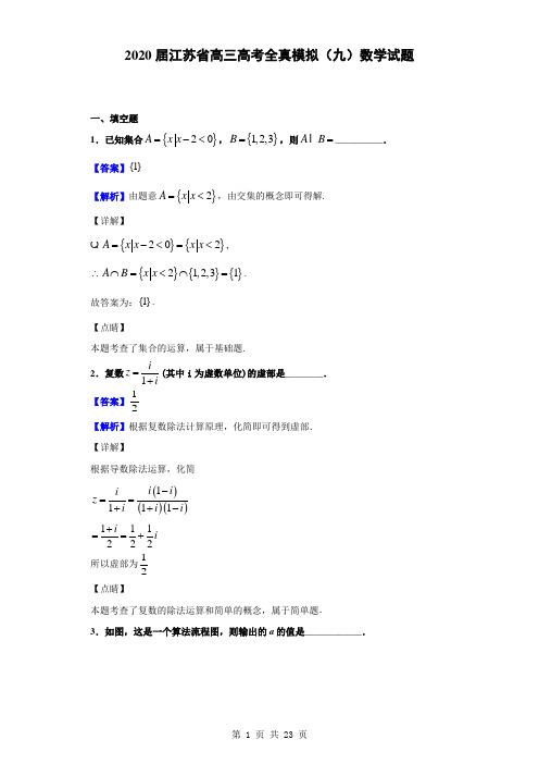 2020届江苏省高三高考全真模拟(九)数学试题(解析版)