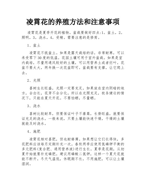 凌霄花的养殖方法和注意事项