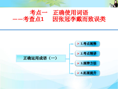 正确运用成语考查点1  因张冠李戴而致误类