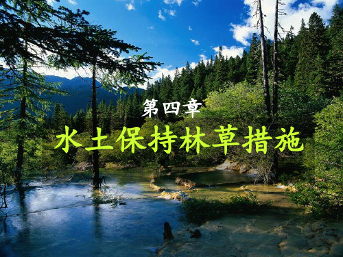 第四章 水土保持生物措施