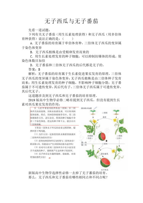 无子西瓜与无子番茄  高二上学期生物人教版选择性必修1