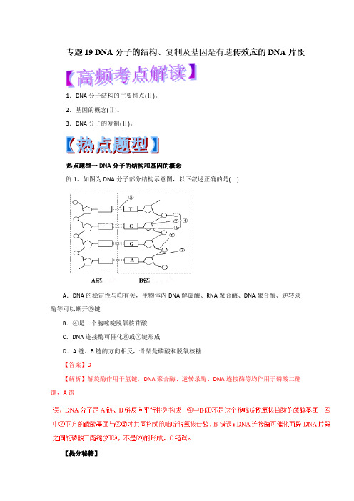 2019年高考生物热点题型和提分秘籍:专题19 DNA分子的结构、复制及基因是有遗传效应的DNA片段(解析版)