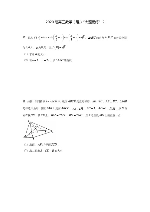 2020届高三数学(理)“大题精练”2