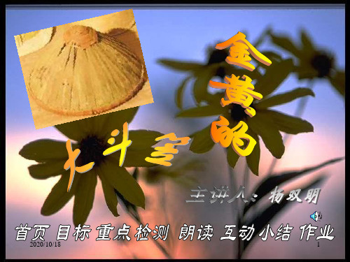 斗笠PPT优选课件