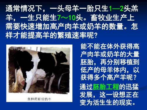 高考生物复习课件：胚胎工程(共108张PPT)