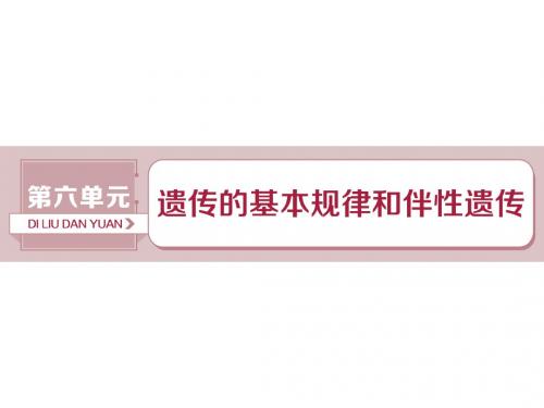 2019届高考生物总复习第六单元遗传的基本规律和伴性遗传第18讲基因的分离定律课件新人教版