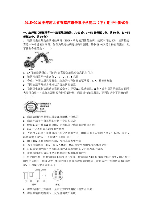 河北省石家庄市辛集中学2015-2016学年高二生物下学期期中试卷(含解析)