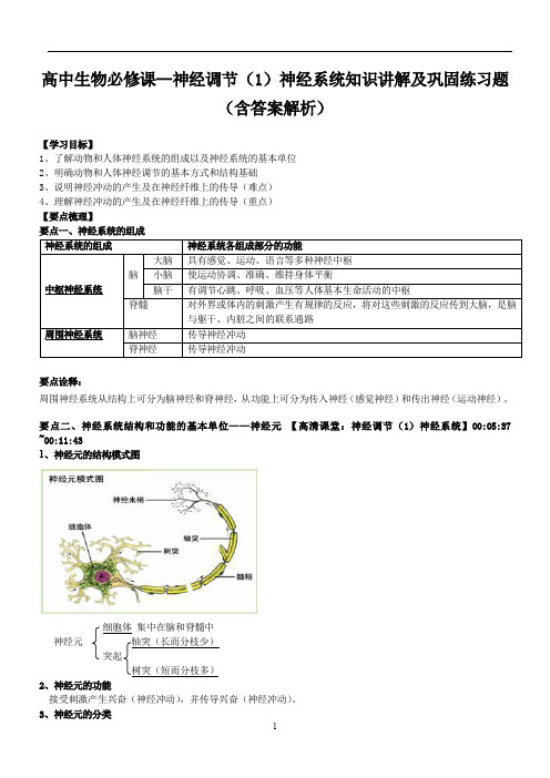 高中生物必修课--神经调节(1)神经系统知识讲解及巩固练习题(含答案解析)