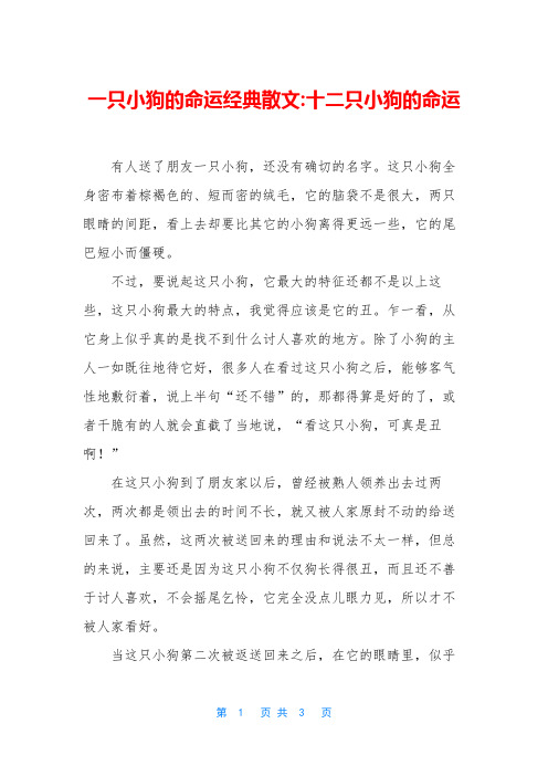 一只小狗的命运经典散文-十二只小狗的命运