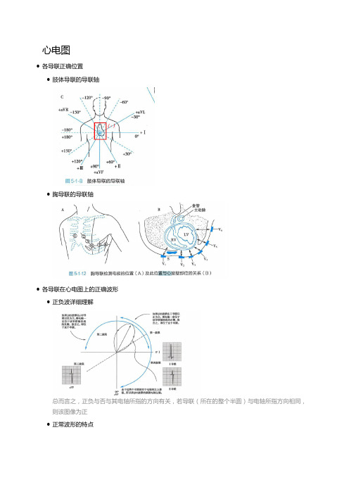 诊断学心电图