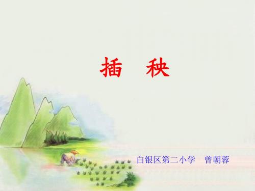 《插秧》课件(北师大版小学语文一年级下册课件)