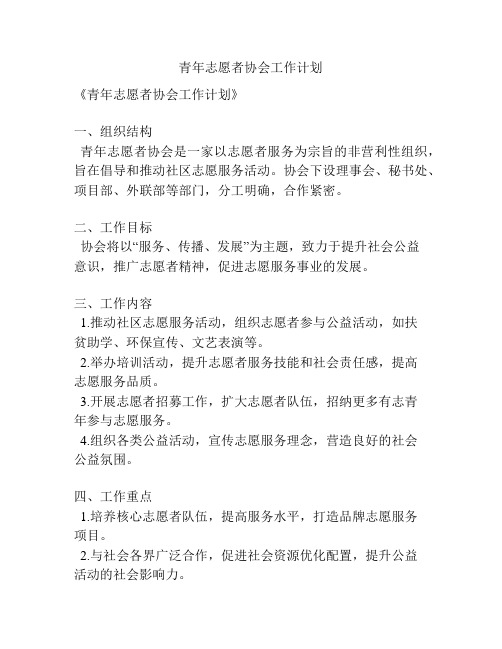 青年志愿者协会工作计划