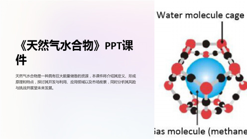 《天然气水合物》课件