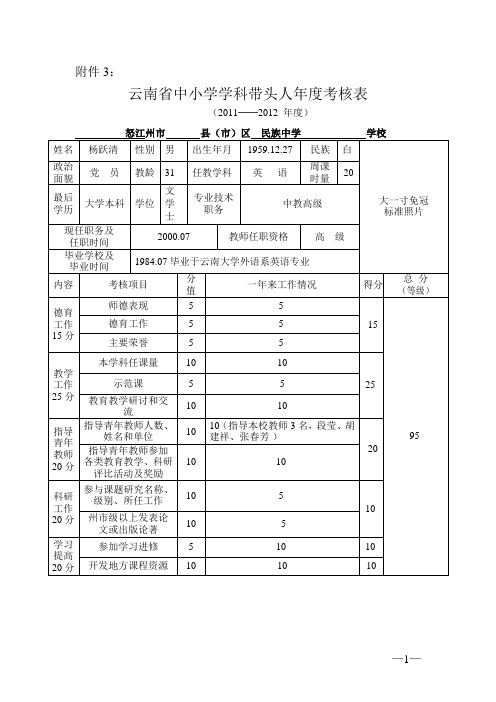 云南省学科带头人考核表