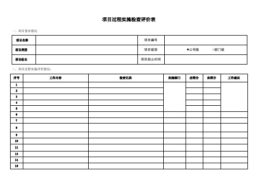 项目过程实施检查评价表