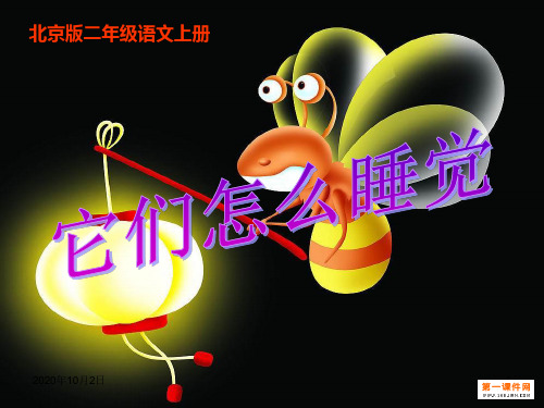 它们怎么睡觉PPT(北京版)PPT课件