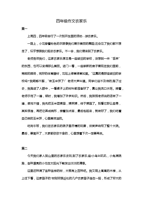 四年级作文农家乐