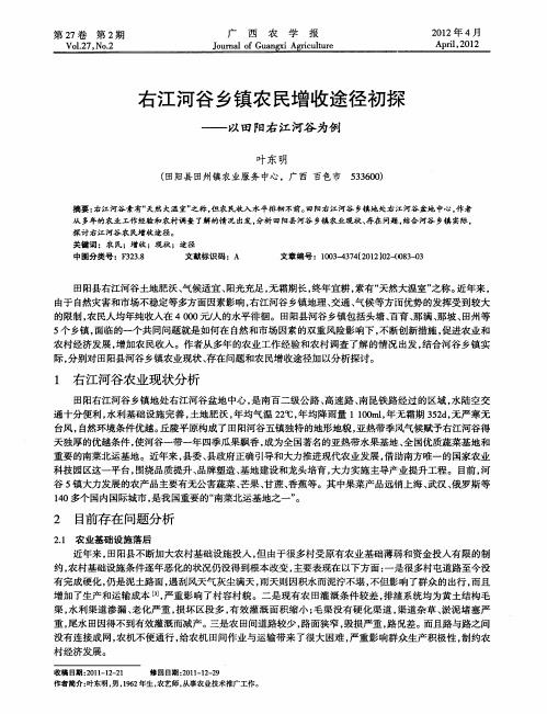 右江河谷乡镇农民增收途径初探——以田阳右江河谷为例