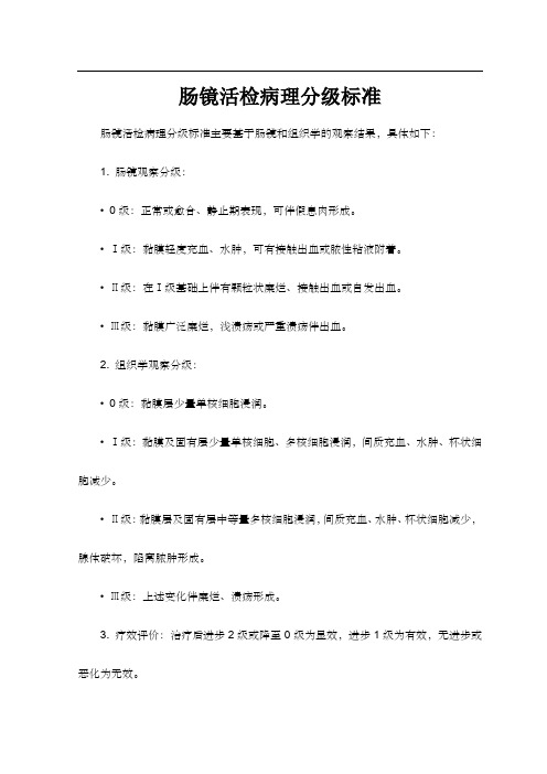 肠镜活检病理分级标准