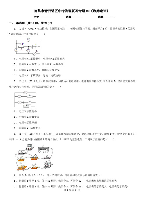 南昌市青云谱区中考物理复习专题20《欧姆定律》