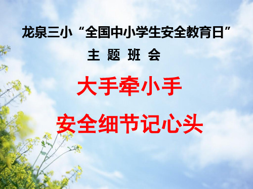 全国中小学生安全教育日主题班会PPT课件
