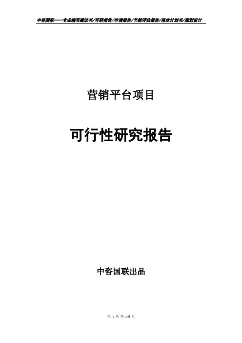 营销平台项目可行性研究报告模板