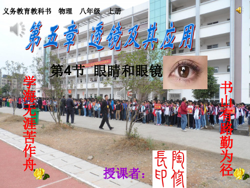 初中物理 眼睛和眼镜19 人教版优秀课件