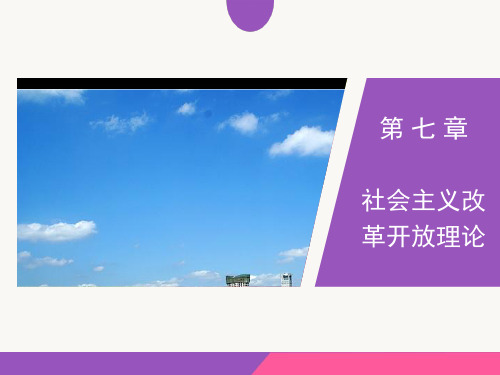 2015毛概第七章—社会主义改革开放理论