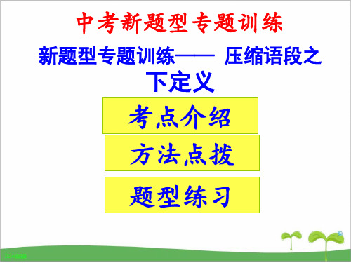 (部编)中考语文新题型专题训练——下定义