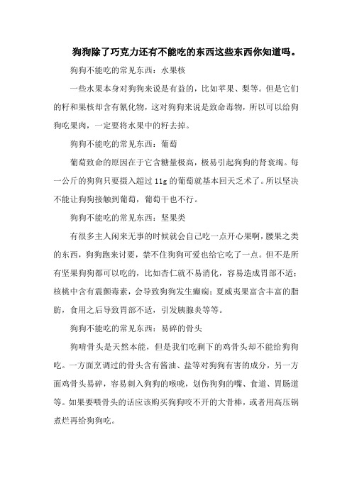 狗狗除了巧克力还有不能吃的东西这些东西你知道吗