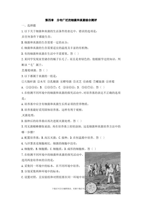 鲁科版生物七年级下册 第六单元第一章《分布广泛的细菌和真菌》综合测评