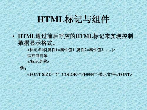 HTML基础