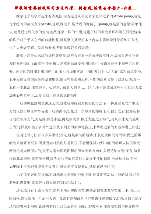 踝泵股四头肌静蹲练习方法