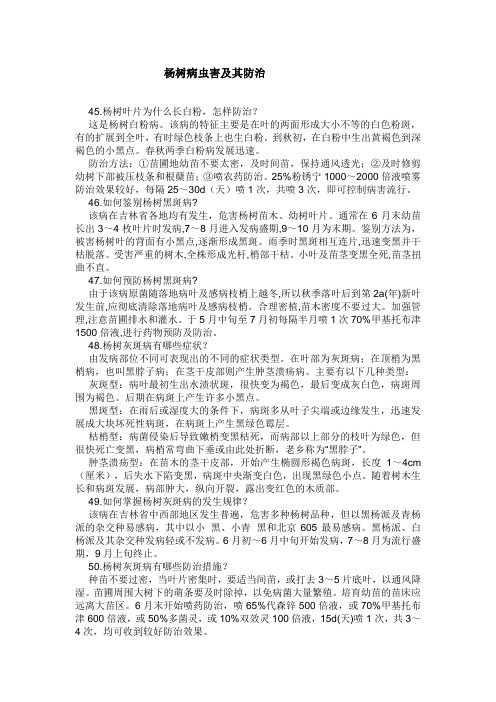 杨树病虫害及其防治