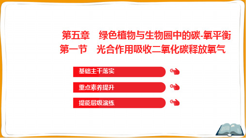 人教版七年级上册生物第三单元第五章绿色植物与生物圈中的碳-氧平衡第一节光合作用吸收二氧化碳释放氧气