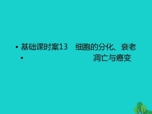 高考生物一轮复习第4单元细胞的生命历程13课件苏教版必修1