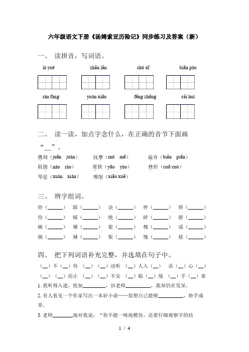 六年级语文下册《汤姆索亚历险记》同步练习及答案(新)