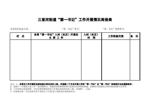 第一书记周报表