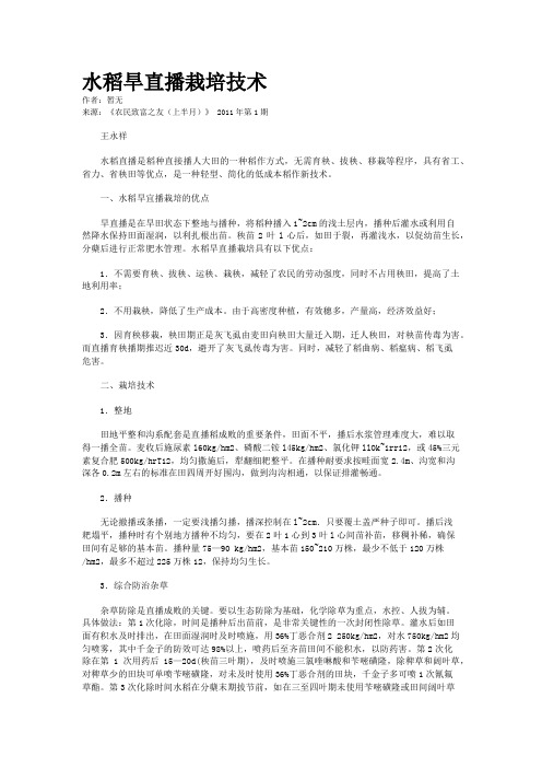 水稻旱直播栽培技术