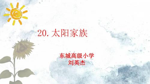 20.太阳家族