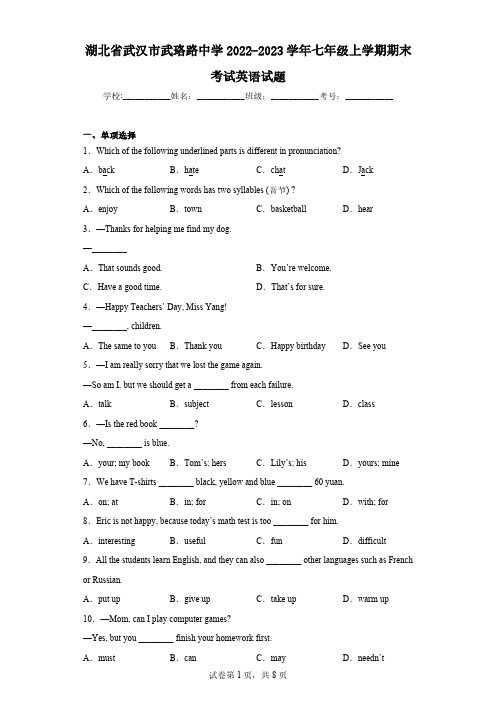 湖北省武汉市武珞路中学2022-2023学年七年级上学期期末考试英语试题(含解析)