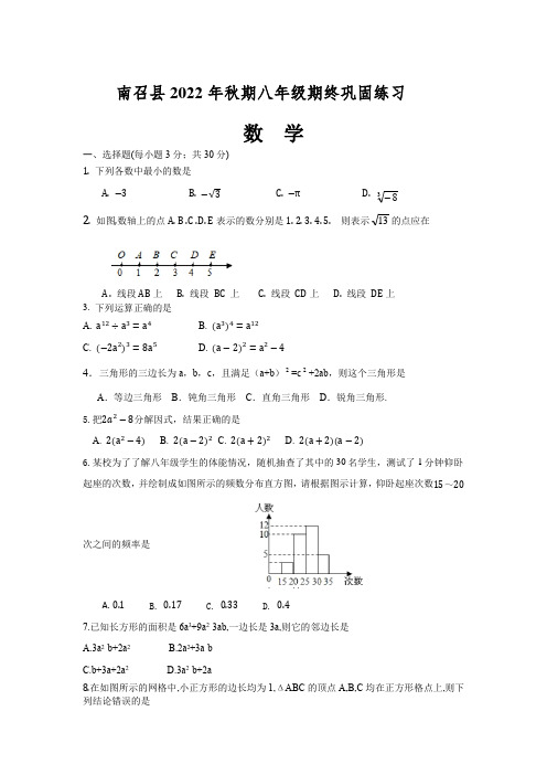 河南省南阳市南召县2022-2023 学年八年级上学期数学期末试题(含答案)