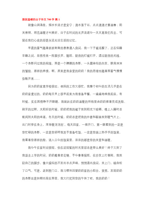 温暖的经历作文700字