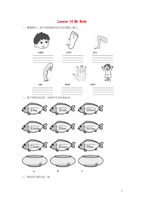 三年级英语上册 Unit 3 Body and Feelings Lesson les